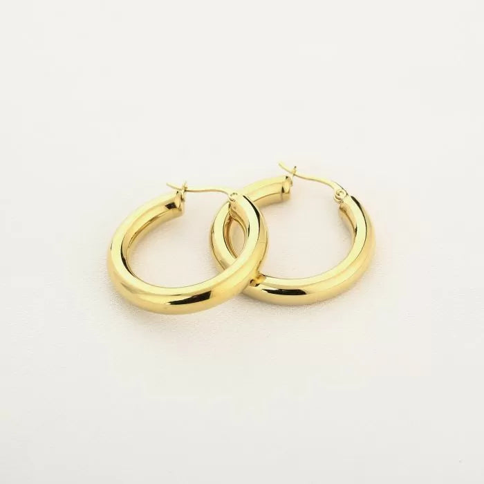 "Small hoop" earrings