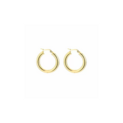 "Small hoop" earrings